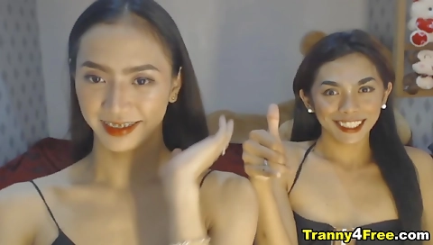 Sexy asian pornstar gives a hot blowjob and gets banged hard